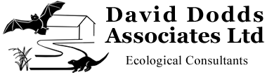 David Dodds Associates Ltd Ecological Consultants logo, click for home page