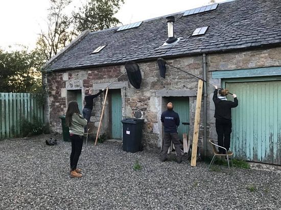 Team hand-netting bats